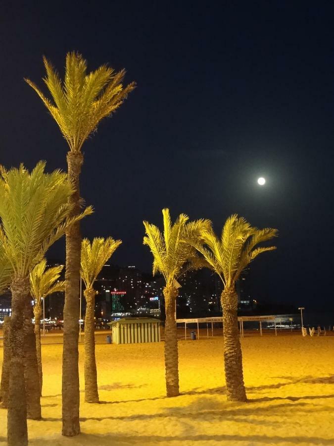 Best View - Welcome Penthouse Apartamentos Karola Benidorm Eksteriør bilde