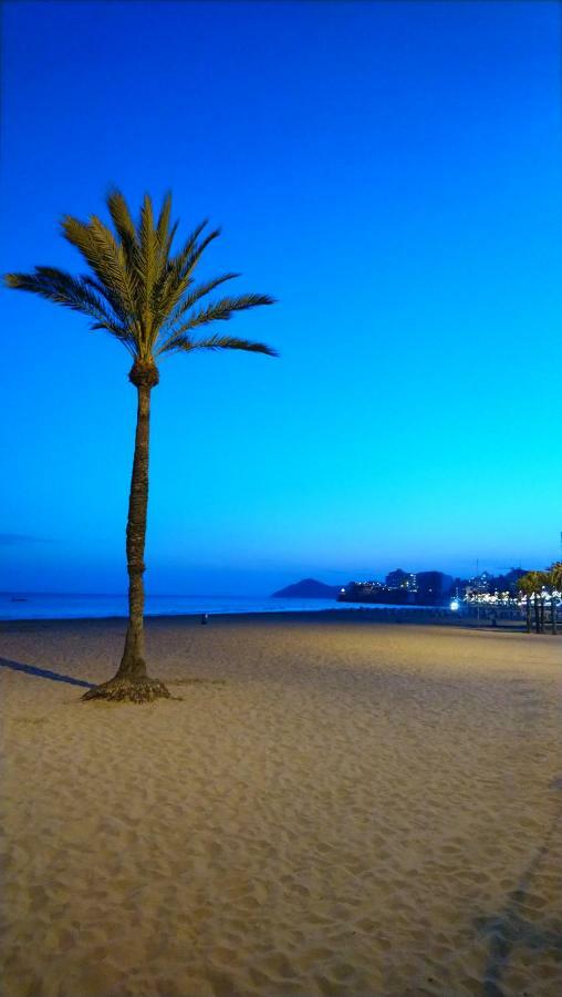Best View - Welcome Penthouse Apartamentos Karola Benidorm Eksteriør bilde
